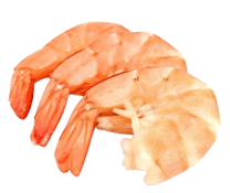 Tôm